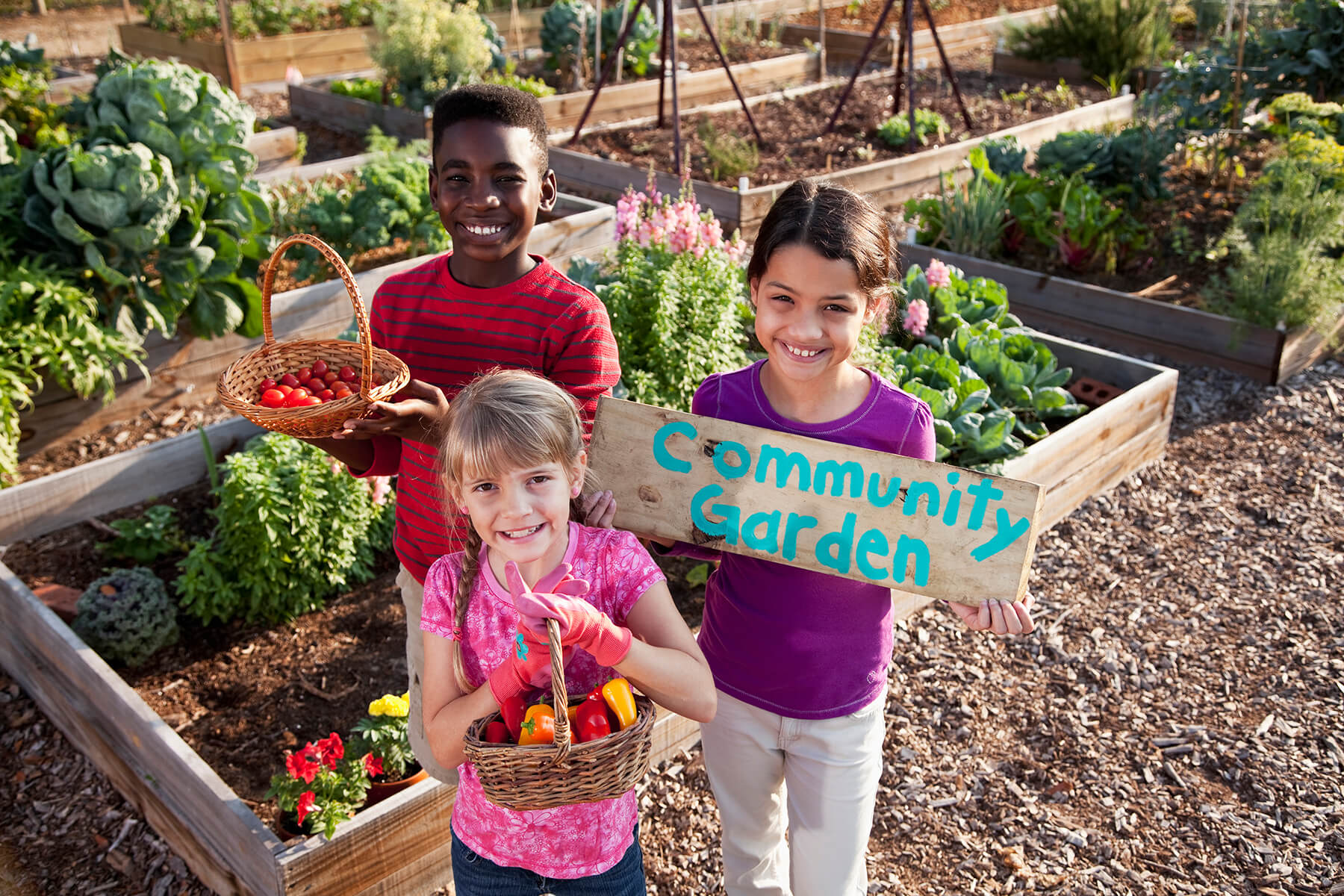 Healthy Community Grants