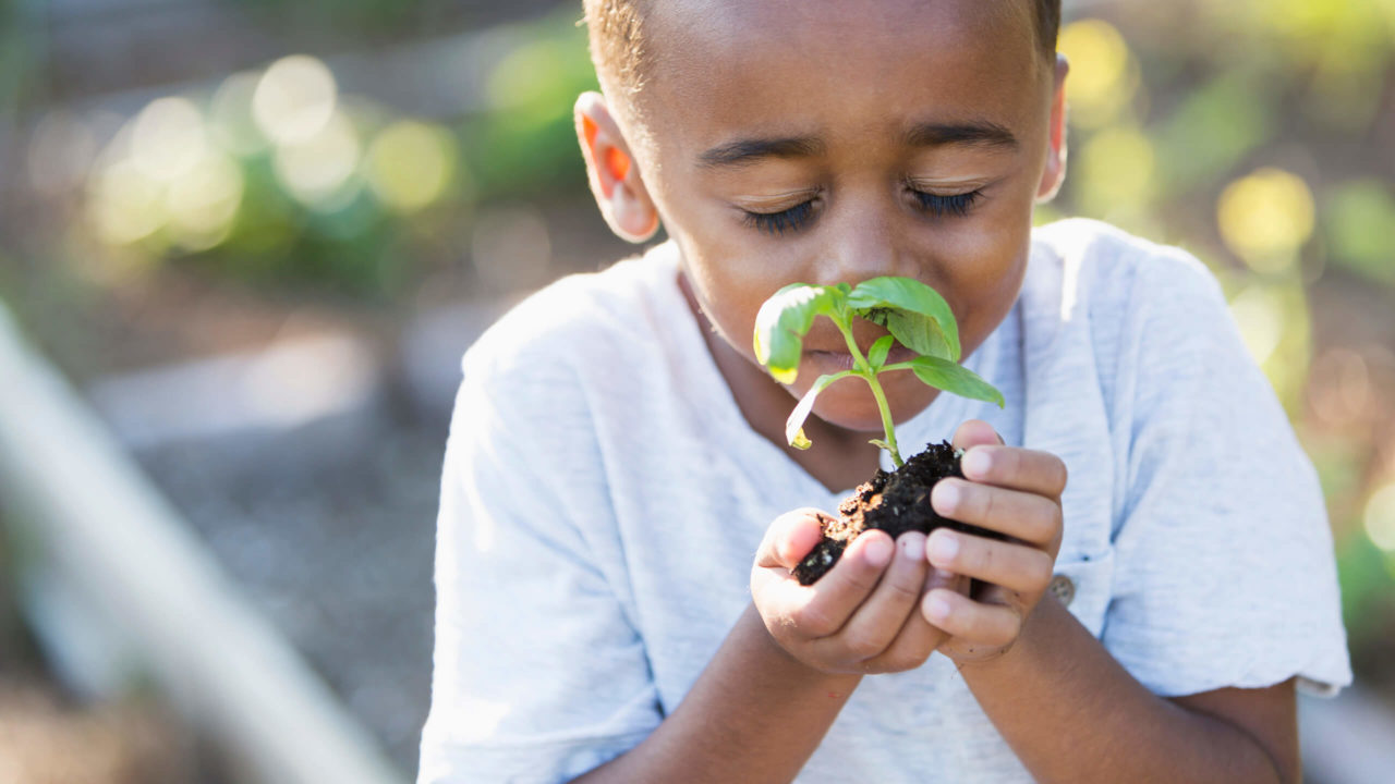 Peace Arch Hospital Foundation Projects: Healthy Community Steering Committee