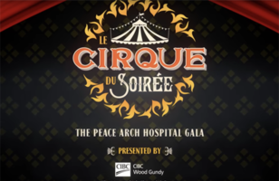 2017 Gala - Le Cirque du Soiree