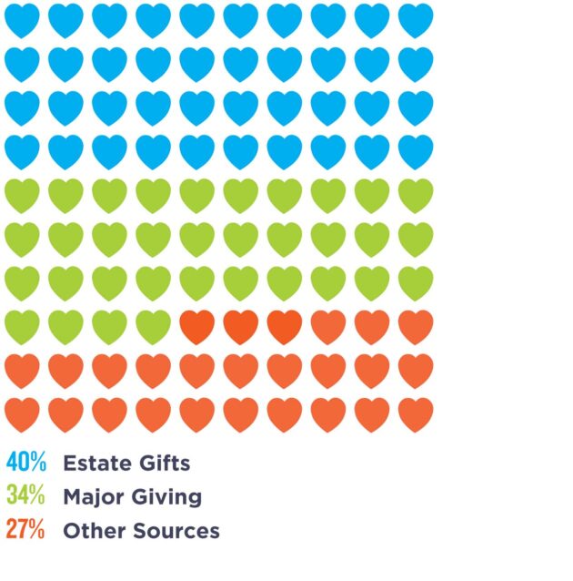 fundraising-revenue-2024