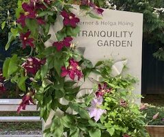 Wener & Helga Höing Garden Fund