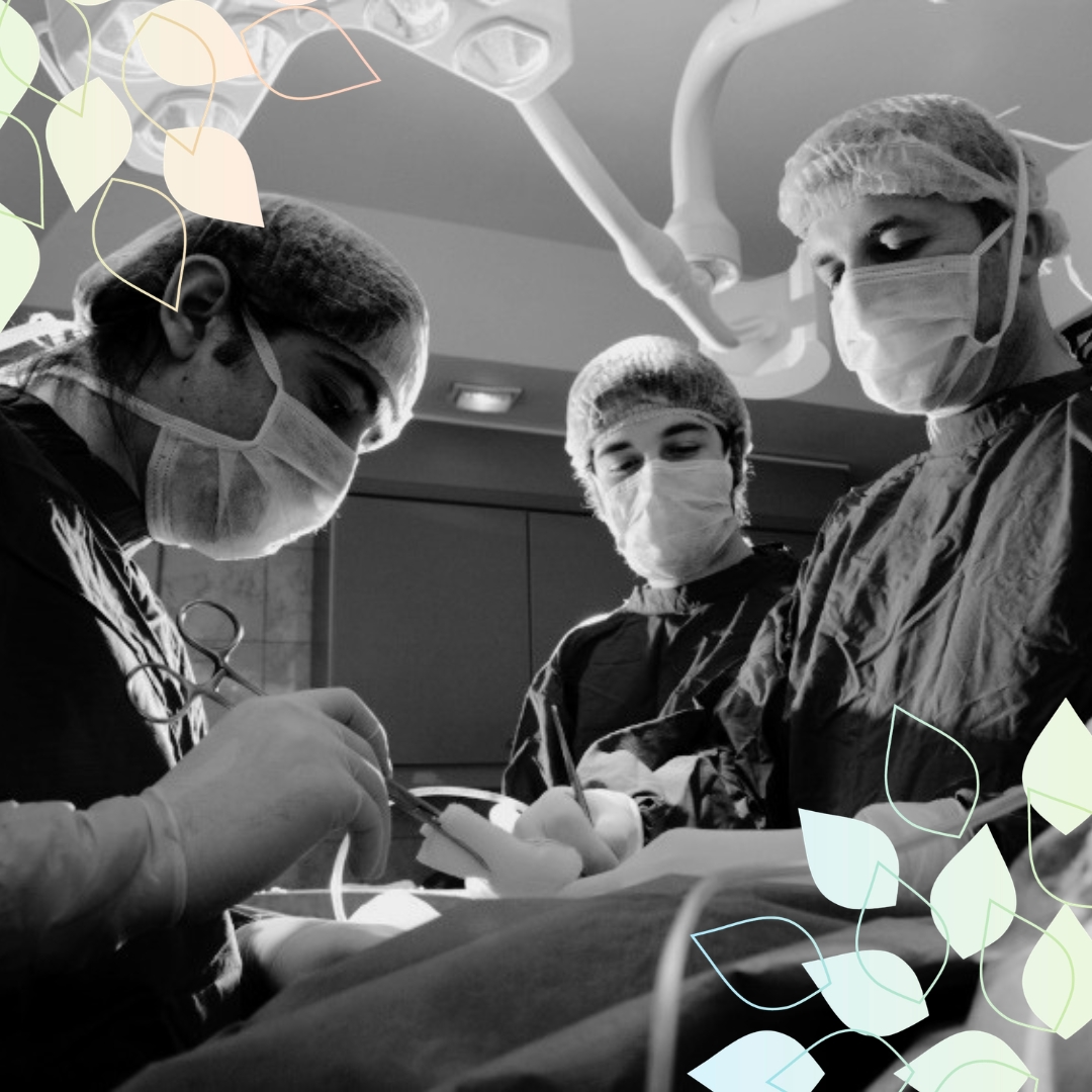 PAHCHF’s Leadership Role in Supporting Advancements in Patient Care